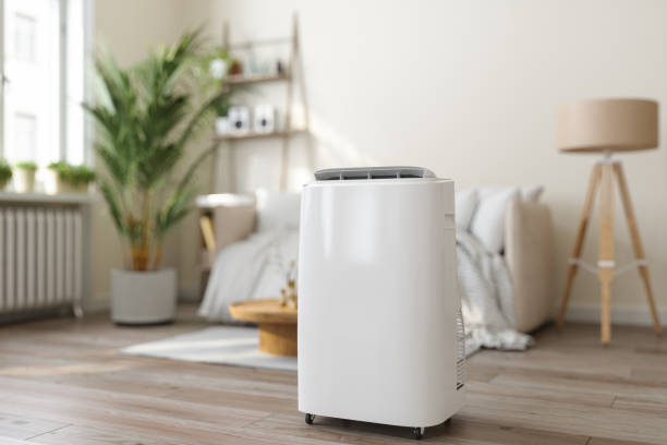 Best Ductless HVAC Repair  in Mauldin, SC
